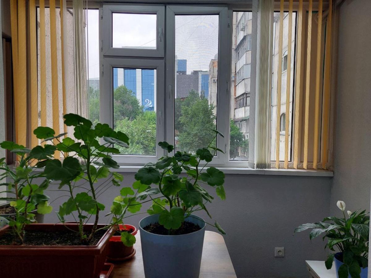 Downtown Homestay Bishkek Exteriör bild